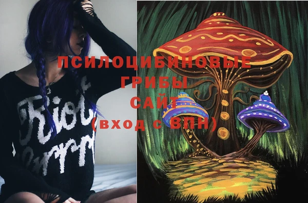 сатива Вяземский