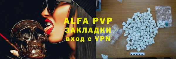 сатива Вяземский