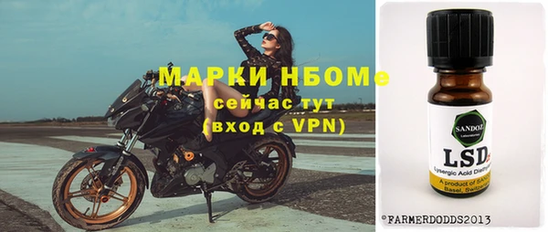 сатива Вяземский