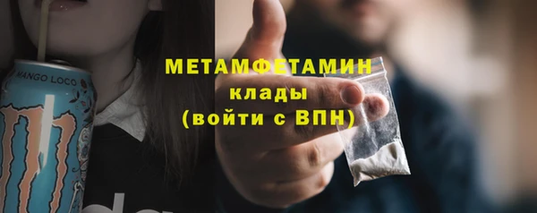 сатива Вяземский