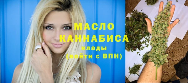 сатива Вяземский