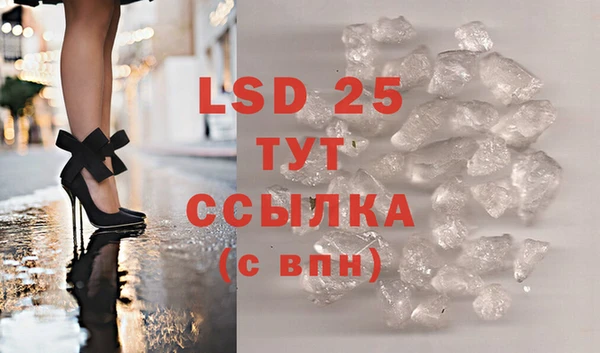 сатива Вяземский