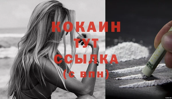 сатива Вяземский