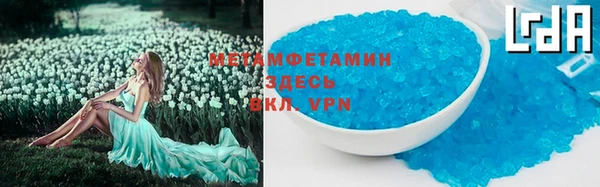 сатива Вяземский